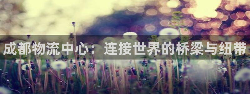 豪门国际app怎么注销：成都物流中心