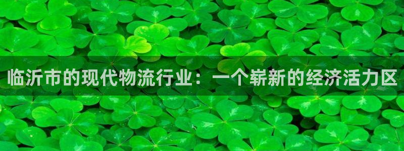 豪门国际昵称：临沂市的现代物流行业：