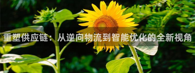 豪门国际娱乐官网网页：重塑供应链：从