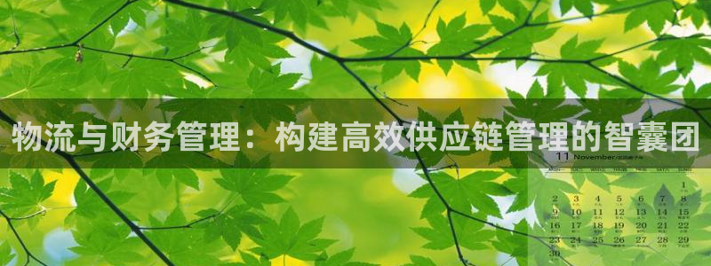 豪门国际退款教程：物流与财务管理：构