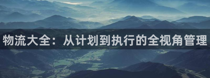 豪门国际黑吗：物流大全：从计划到执行