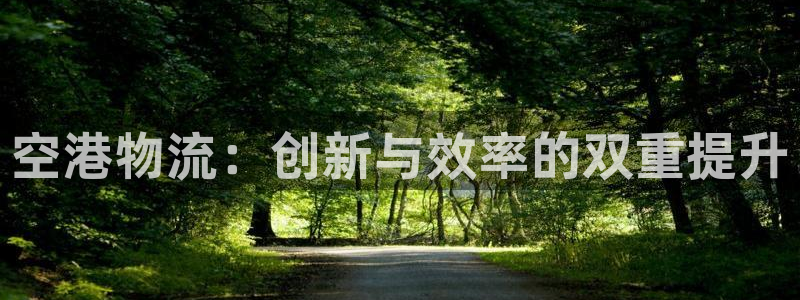 豪门国际哪个最赚钱：空港物流：创新与