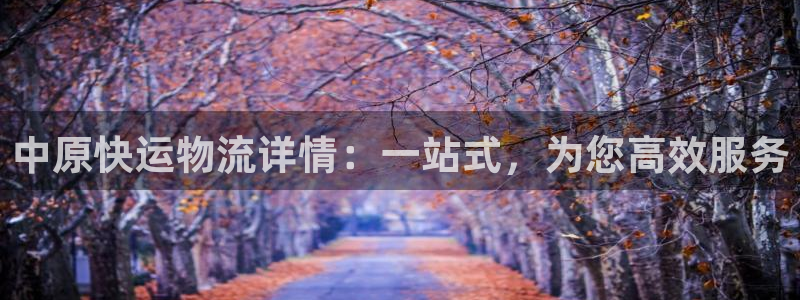 豪门国际初始密码在哪里修改