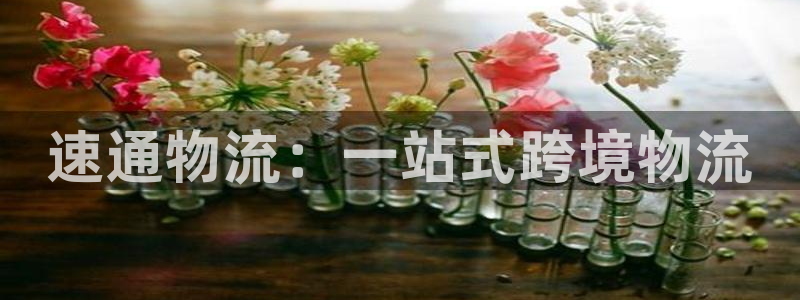 豪门国际官网下载：速通物流：一站式跨