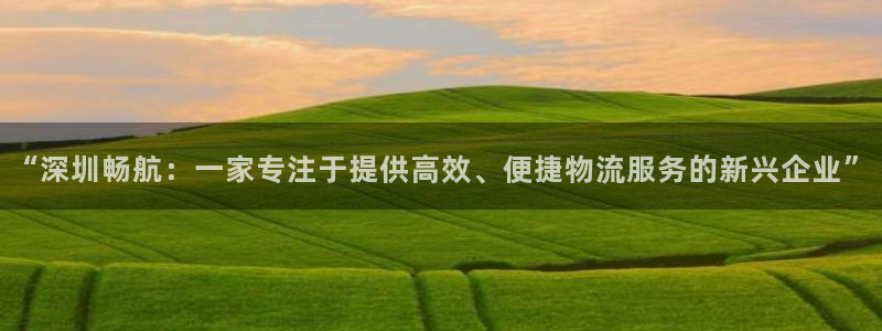 豪门国际下载不了：“深圳畅航：一家专