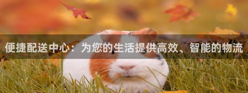 豪门国际相信品牌的力量：便捷配送中心