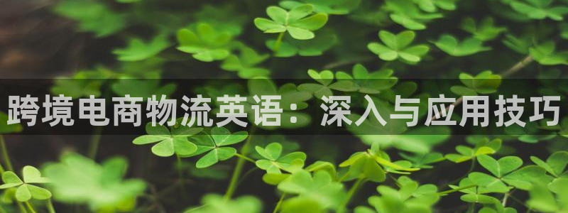 豪门国际口戒指是多大：跨境电商物流英