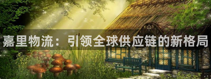 豪门国际是干嘛的：嘉里物流：引领全球