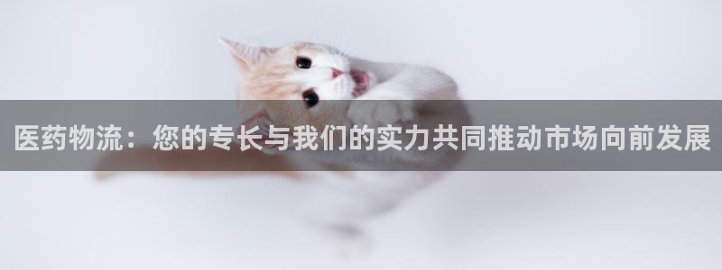 豪门国际下载链接是多少