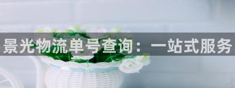 豪门国际官网入口南宫:景光物流单号查