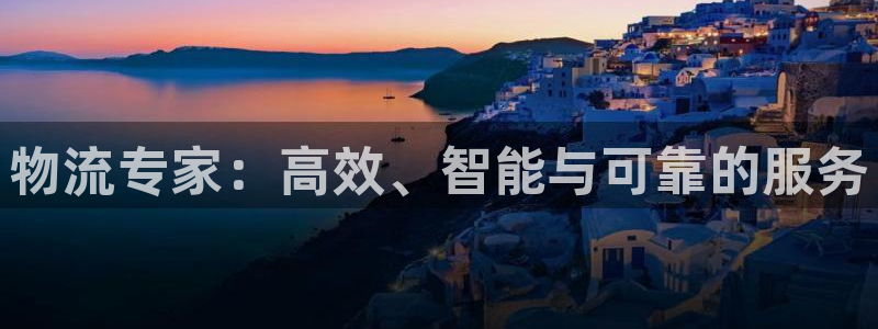 豪门国际游戏官网入口：物流专家：高效