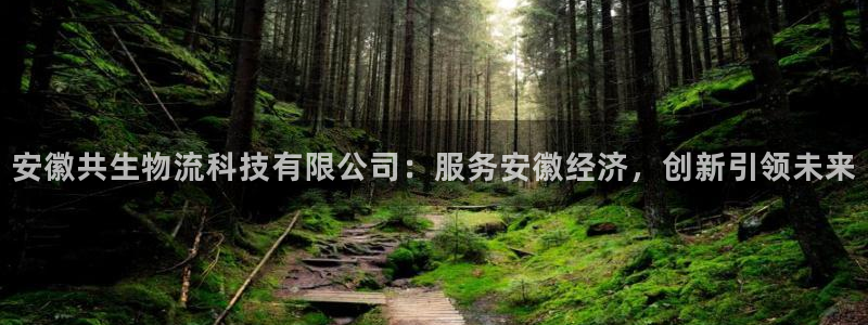 豪门国际是正规平台吗：安徽共生物流科