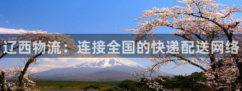 豪门国际口戒指是多大：辽西物流：连接全国的快递配送网络