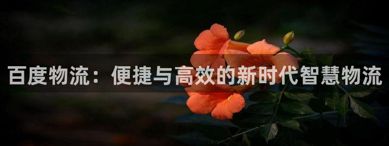 豪门国际官方官网版:百度物流:便捷与