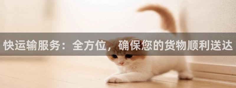 豪门国际口：快运输服务：全方位，确保