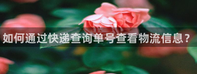 豪门国际官网下载链接是什么网站：如何通过快递查询单号查看物流