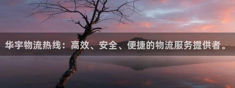 豪门国际注册入口与教程：华宇物流热线