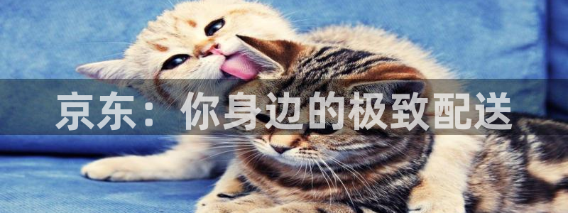 pc豪门国际怎么注册：京东：你身边的极致配送