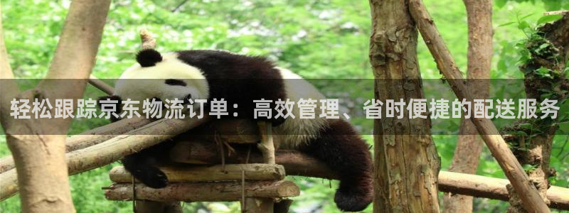 豪门国际是南宫旗下的吗