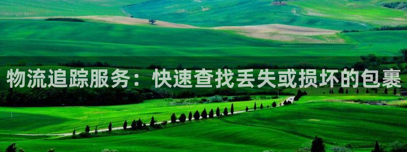 豪门国际pg麻将胡了2老是空转：物流追踪服务：快速查找丢失或